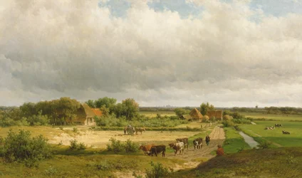 Extensive Dutch Landscape